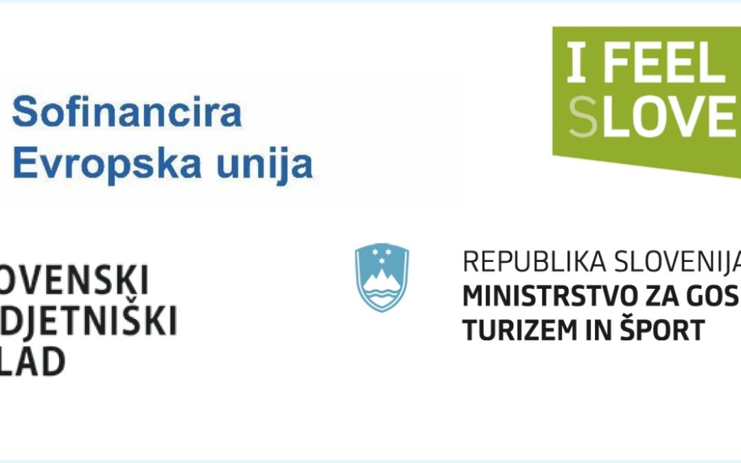 Digitalna tranformacija podjetja AS Domžale d.o.o.